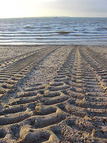 Track of lifeboat tractor, Whitstable, Kent; October 2nd, 2004