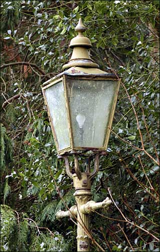 Lamp in the bushes, Hill Furze, Worcestershire; March 13th, 2005