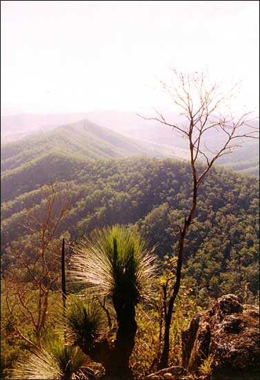 In the Lamington Hills, Queensland, May 2003